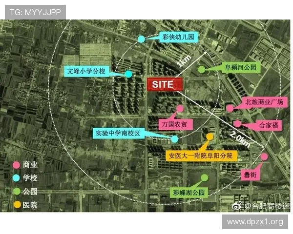 FH体育：全面解析其发展历程、特色与未来趋势
